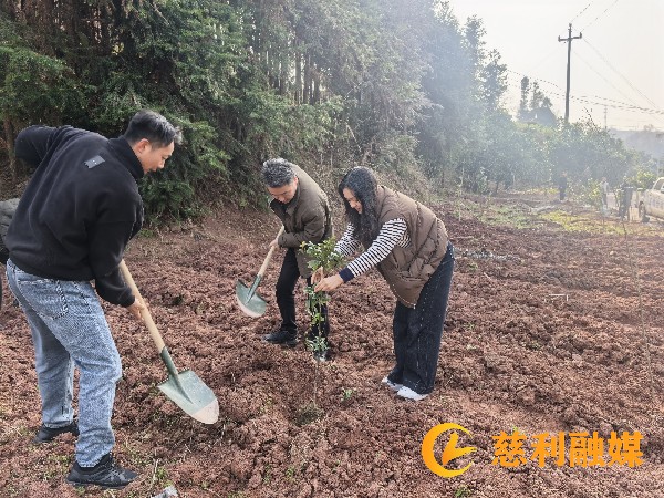 4_副本.jpg 4_副本.jpg