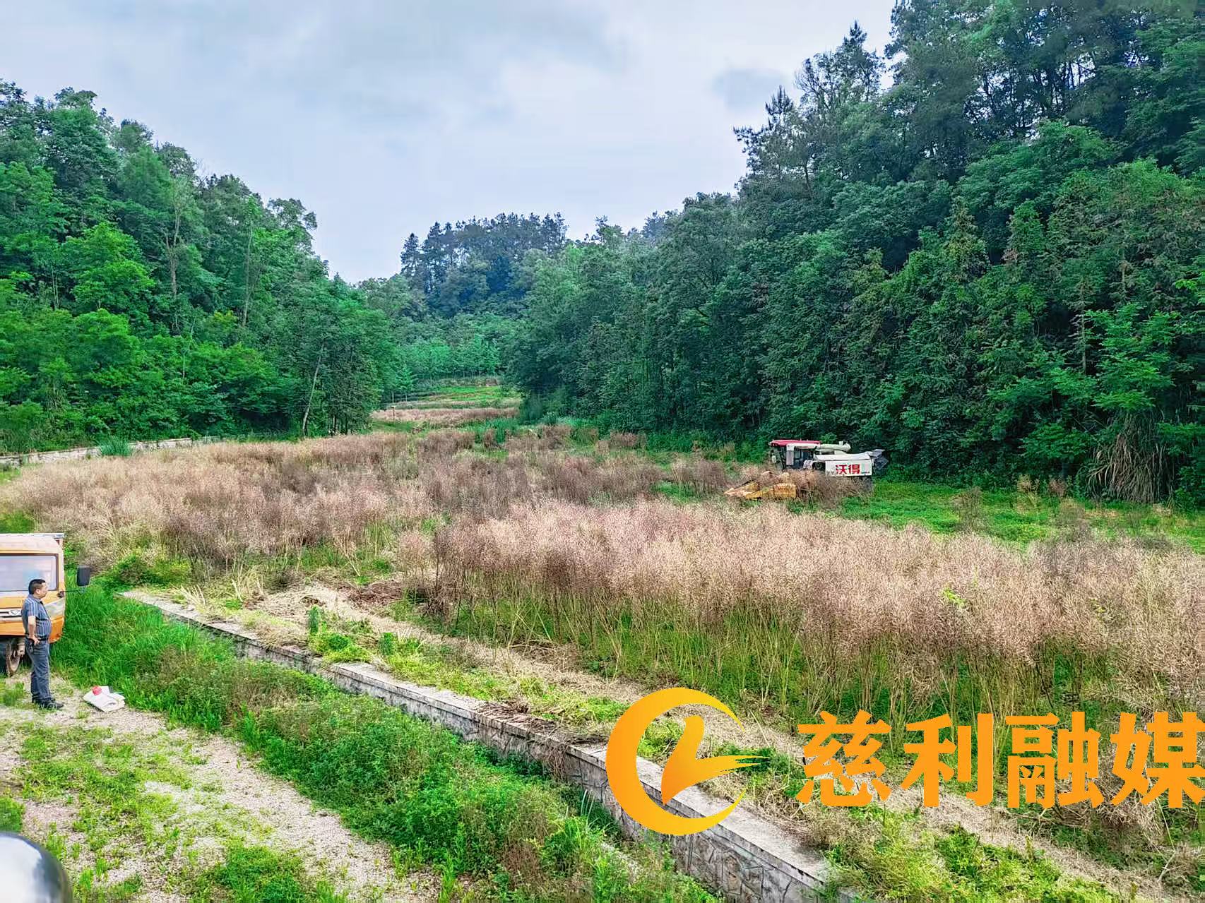 图片2(0609).jpg 图片2(0609).jpg