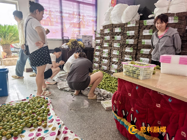 图片3_副本.png 图片3_副本.png