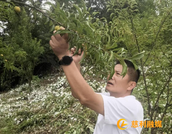 图片2_副本.png 图片2_副本.png