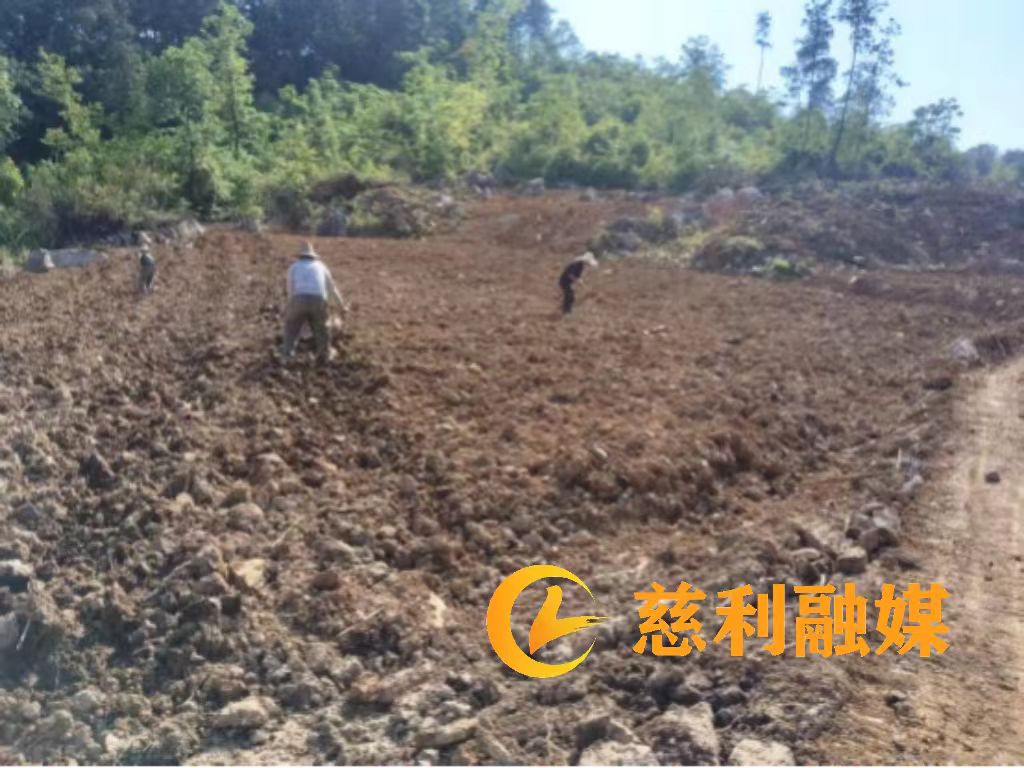 1a27a6c2516b49fb6206618bcde262a8.jpg 1a27a6c2516b49fb6206618bcde262a8.jpg