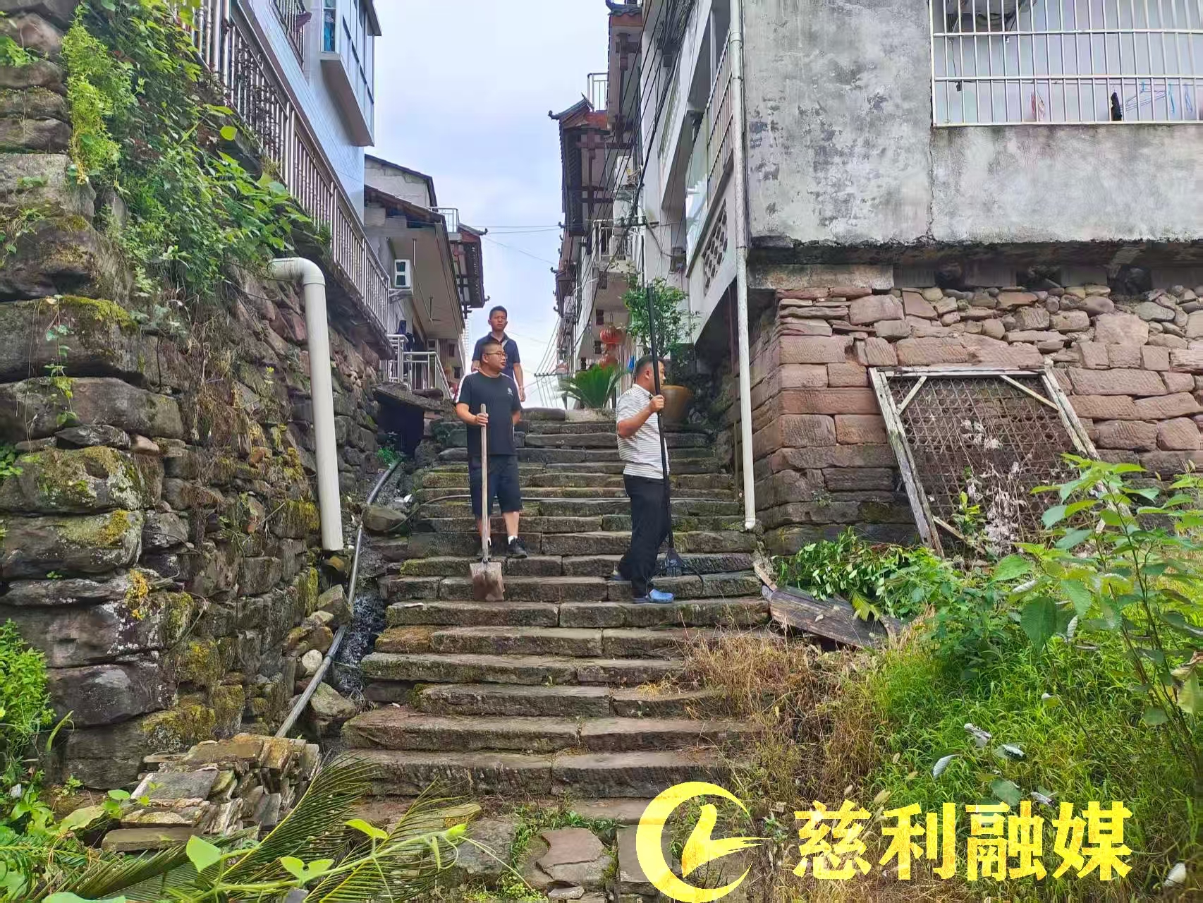新闻稿1.jpg 新闻稿1.jpg