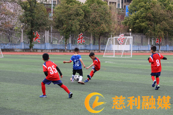 微信图片_20260331151256_673_34_副本.jpg 微信图片_20260331151256_673_34_副本.jpg