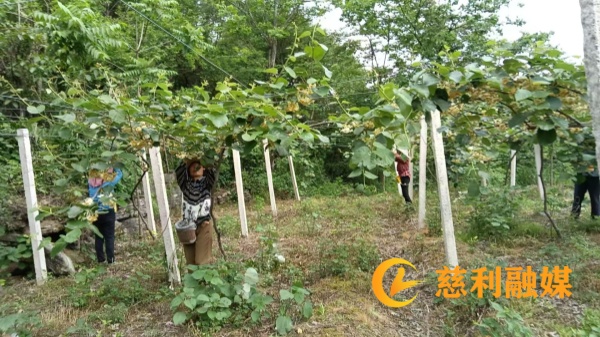 400db6e1bfc2a143372b8221c5fc6be_副本.jpg
