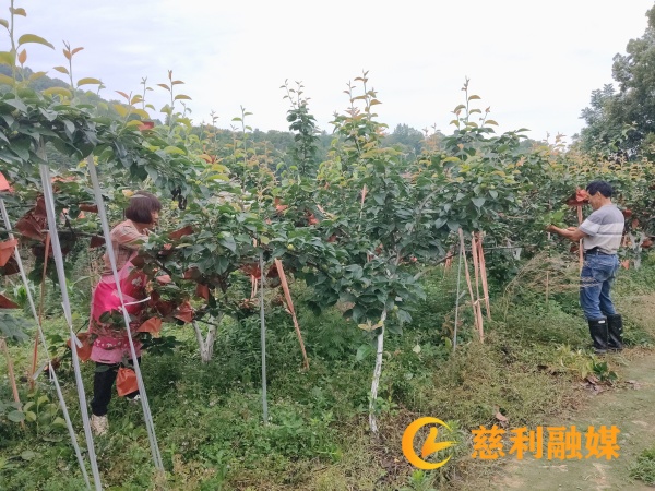 caa000e9dcb823cefe6917b24aead2a_副本.jpg