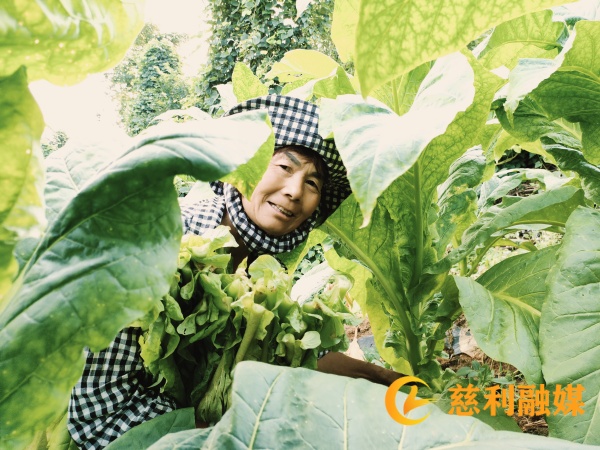 76f6adbd94c95bf3bd7f88025154134_副本.jpg