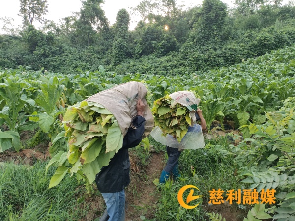 06d26f67c95128474ce3b21256abb8b_副本.jpg