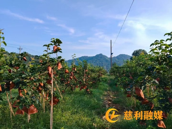 2de33ec0d2095db50a23d62c761ab6a_副本 (2).jpg