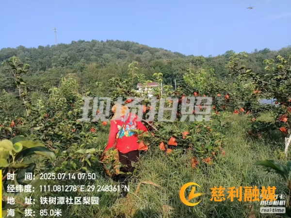 66d3beb1c080aeaba0df42a5e52b4c2_副本 (2).jpg