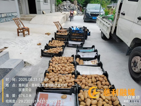 368deb33d8260aa7fd1867ea18858713_副本.jpg