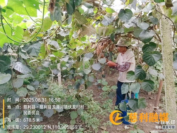 d40b3a3a4170a92c82294410de25d3ea_副本.jpg