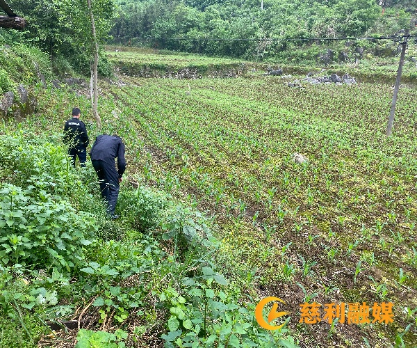 微信图片_20260508102153_4422_41.jpg