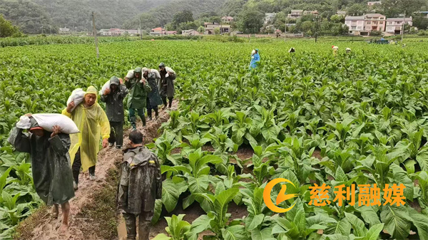 微信图片_20250620142741.jpg