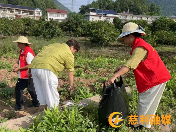 荷峪图片1_副本.jpg