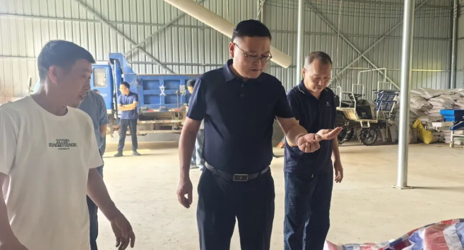 朱爱民调度三合镇重点工作