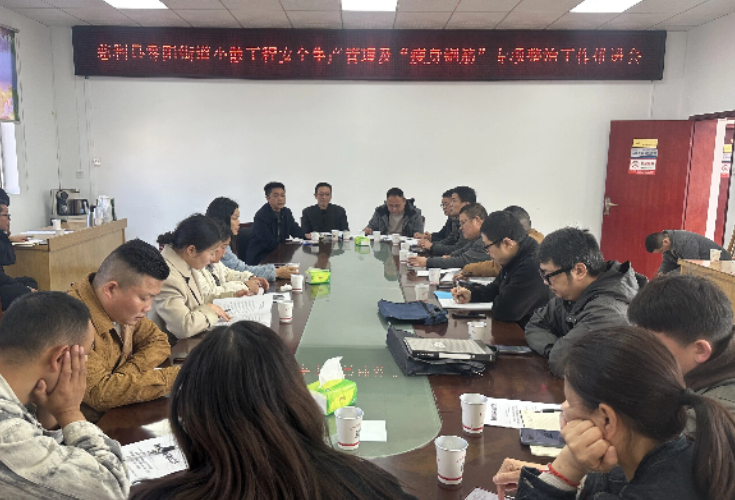 县住建局赴乡镇（街道）开展“小散工程”安全生产管理及“瘦身钢筋”专项整治工作指导督导