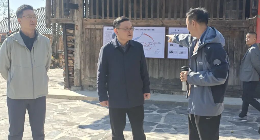 朱爱民带队调研乡村振兴和项目建设工作