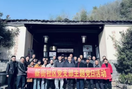 传承红色基因 奋进新征程——新街社区开展主题党日活动