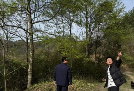 溪口镇扎实开展秸秆禁烧与森林防灭火巡查 筑牢冬季安全“防火墙”