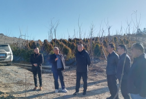 慈利县林业局探路林下经济 共商绿色发展新图景