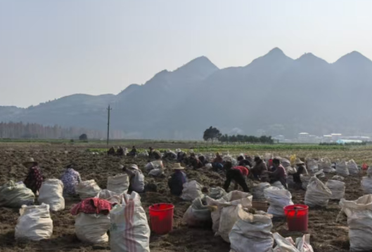 政策红包送上门 精准帮扶暖人心