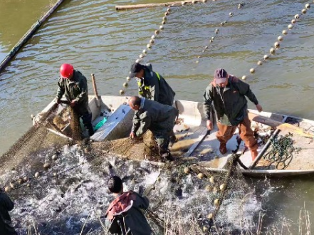 龙潭河镇江星村喜迎丰收：卢家峪水库起鱼2万余斤 谱写乡村振兴新篇章