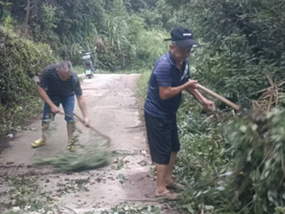 龙潭河镇潘坪村：砍青护路保畅通 养护行动惠民生