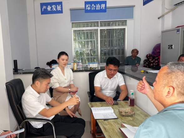 资源下沉深把脉 精准滴灌施良策——江垭镇党委整顿软弱涣散村党组织破局有方