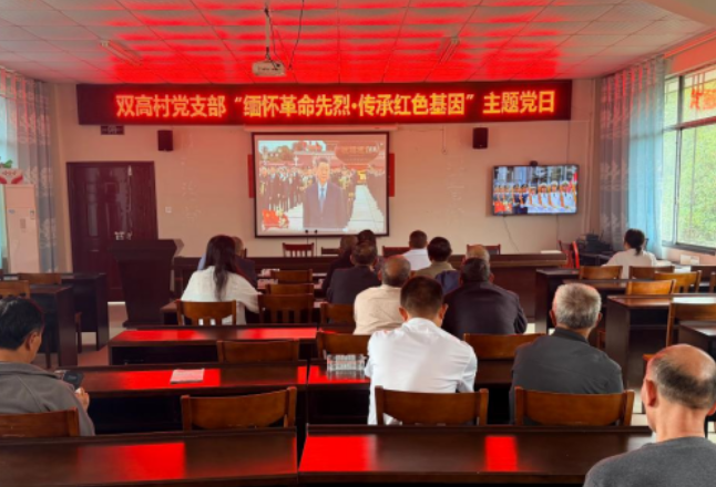 缅怀先烈铸忠魂 学做结合践初心——双高村党群服务中心这场主题党日走心又走实
