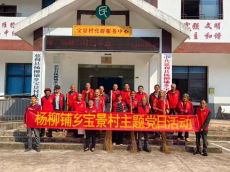 杨柳铺乡宝景村：党建红引领环境美 共建和美宜居家园