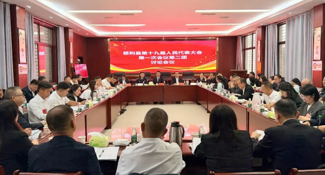 【聚焦两会】出席慈利县第十九届人民代表大会第一次会议的代表进行分团讨论