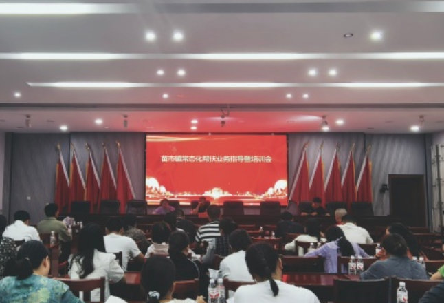 淬炼业务硬本领 筑牢帮扶压舱石——苗市镇召开常态化帮扶业务指导暨专题培训会