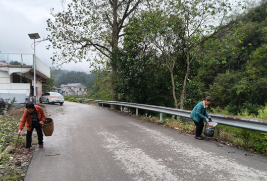 零阳街道两溪村:党群齐发力 整治环境靓家园
