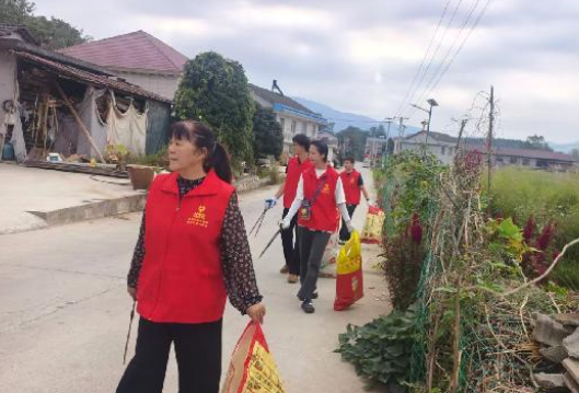 东岳观镇陡溪村：党群聚力环境清扫 擦亮乡村宜居底色