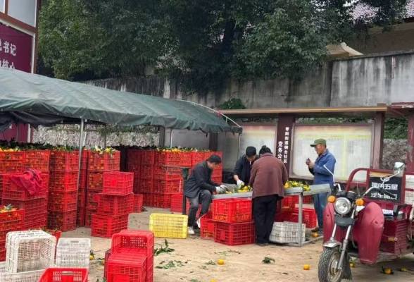 零阳街道铜台社区：党建赋能产业链 党群阵地变“果仓”