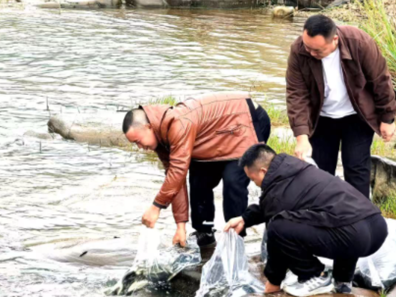 赵家岗土家族乡：增殖放流补生态 600多公斤优质鱼苗溇水河“安家”