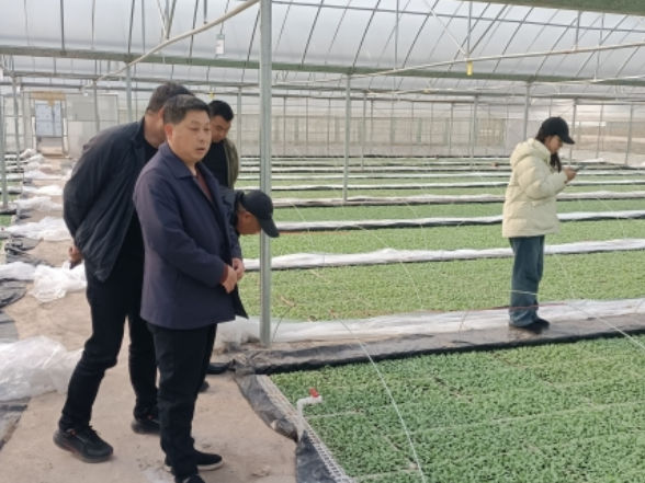 杨柳铺乡：“新春第一访”助企发展 “开工第一课”筑牢平安