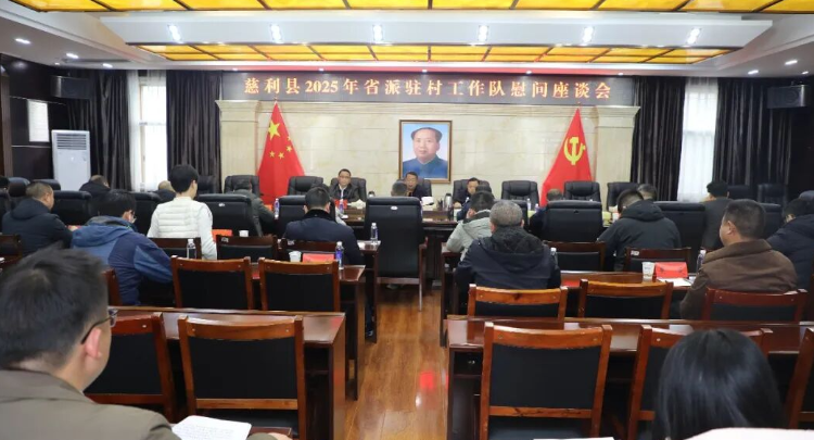 慈利县2025年省派驻村工作队慰问座谈会召开