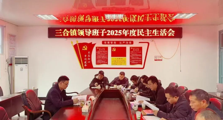 朱爱民指导三合镇2025年度领导班子民主生活会
