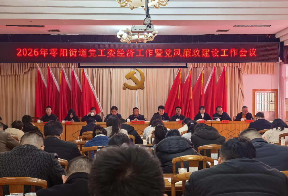 零阳街道召开2026年党工委经济工作会议