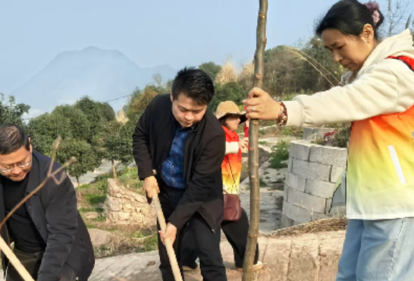 植绿护绿践初心 巾帼建功添新颜——零阳街道妇联开展义务植树活动