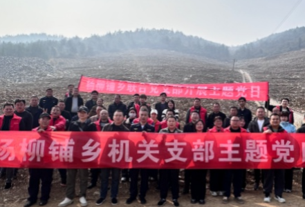 慈利县杨柳铺乡：党建引领添新绿