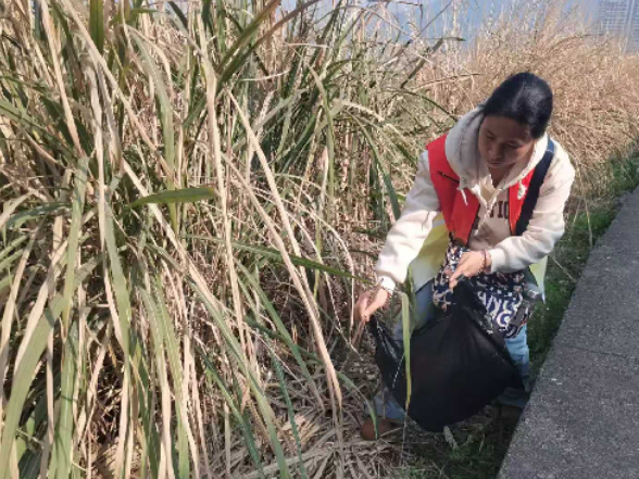 守护一方碧水 绽放巾帼风采——零阳街道妇联开展“清河净滩”专项行动
