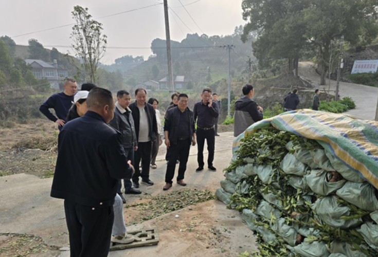 零溪镇墨园社区：春风作伴添新绿 联建共建促振兴