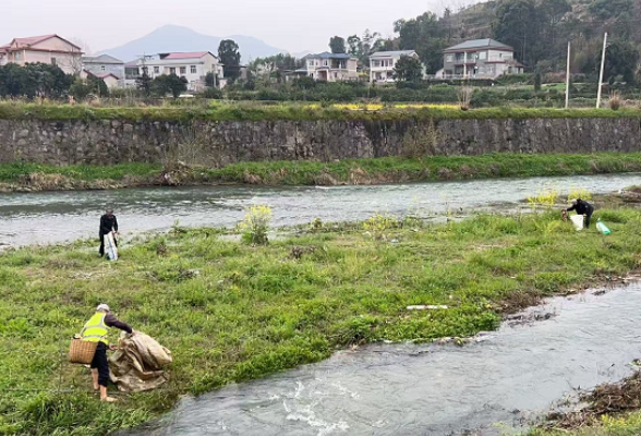 零溪镇岩溪村：党群齐心清河道，守护碧水润家园