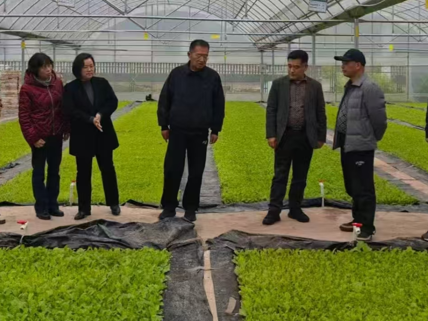 互学互鉴促提升 携手共话振兴路