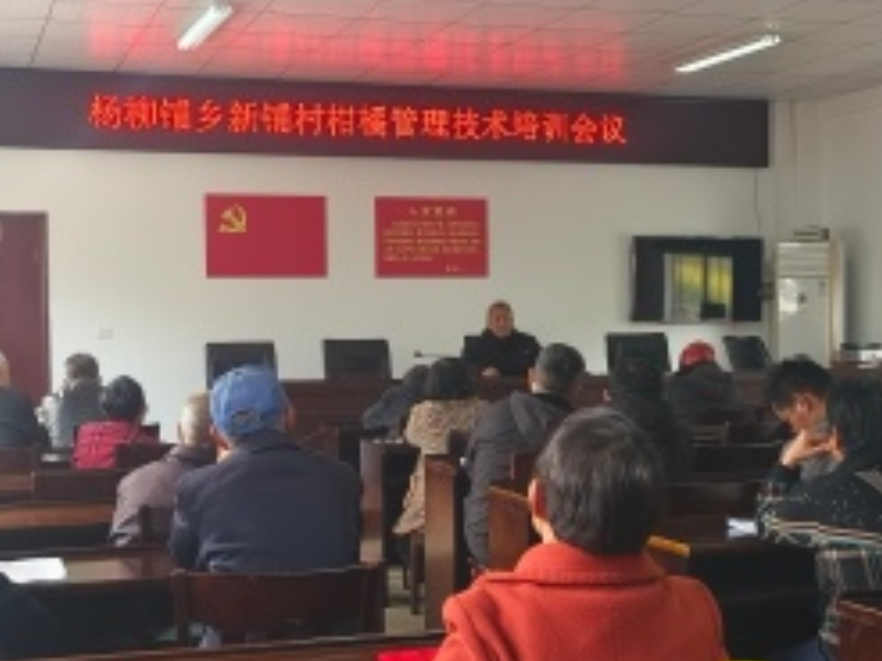 杨柳铺乡新铺村：以技赋能兴产业  柑橘培训助增收