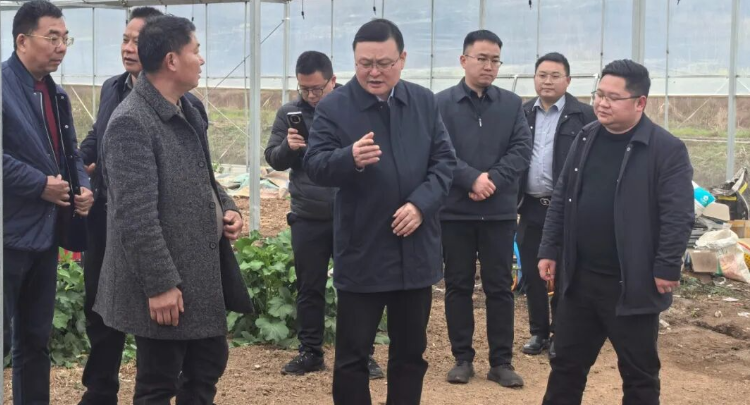 朱爱民调研乡镇重点工作