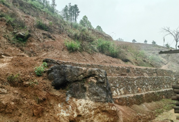 三合镇：巡查排险筑防线 守护群众保平安