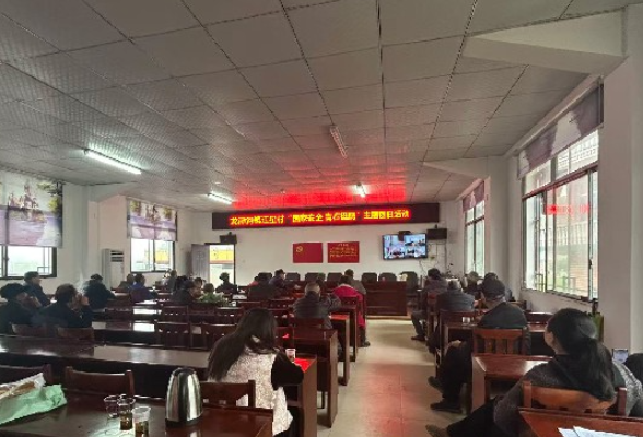 国家安全挺膺担当 青春力量筑牢防线——龙潭河镇举办“国家安全 青春挺膺”主题团日活动